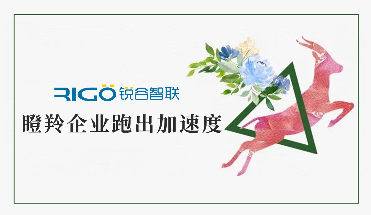 火炬高新區(qū)助力“瞪羚”企業(yè)跑出加速度，超半數(shù)分布廈門軟件園